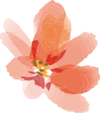 姫路・明石・加古川・神戸で婚活するならAmbitious姫路 | Ambitious姫路