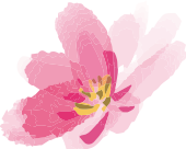 姫路・明石・加古川・神戸で婚活するならAmbitious姫路 | Ambitious姫路