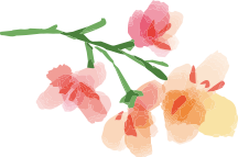 姫路・明石・加古川・神戸で婚活するならAmbitious姫路 | Ambitious姫路